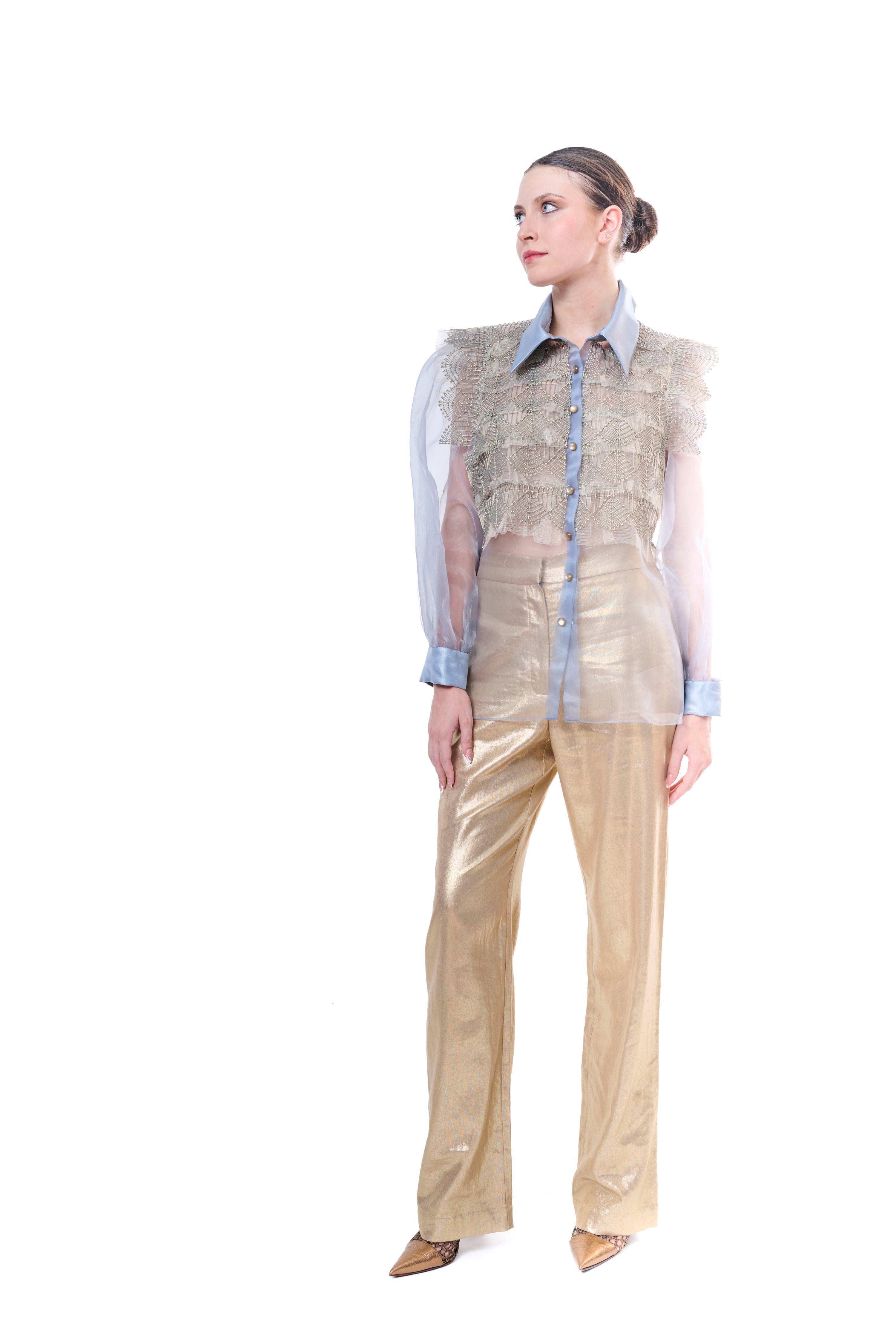 Blouse Embroidery Transparent