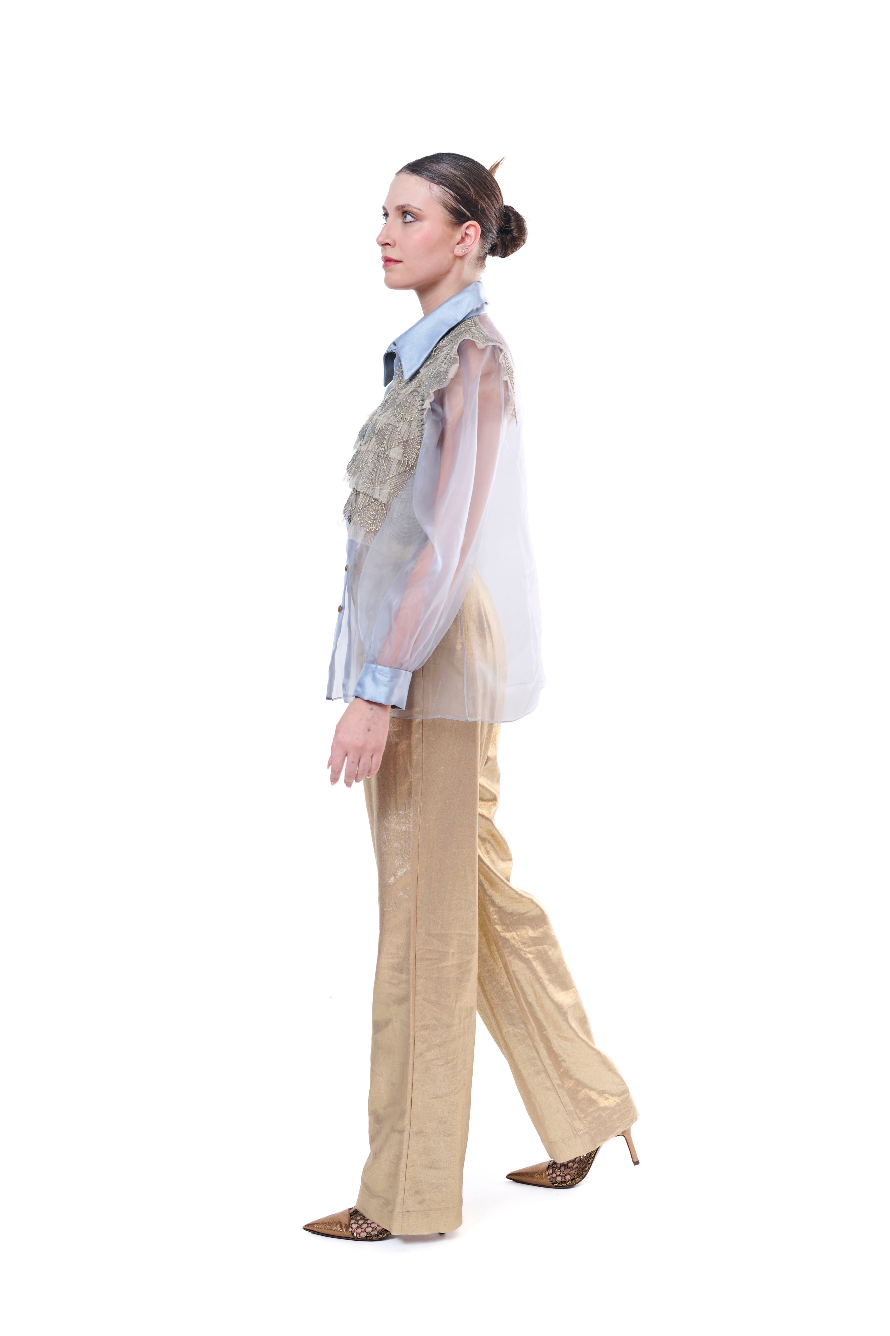 Blouse Embroidery Transparent