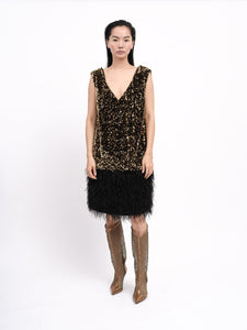 Dress Sequins Feathers