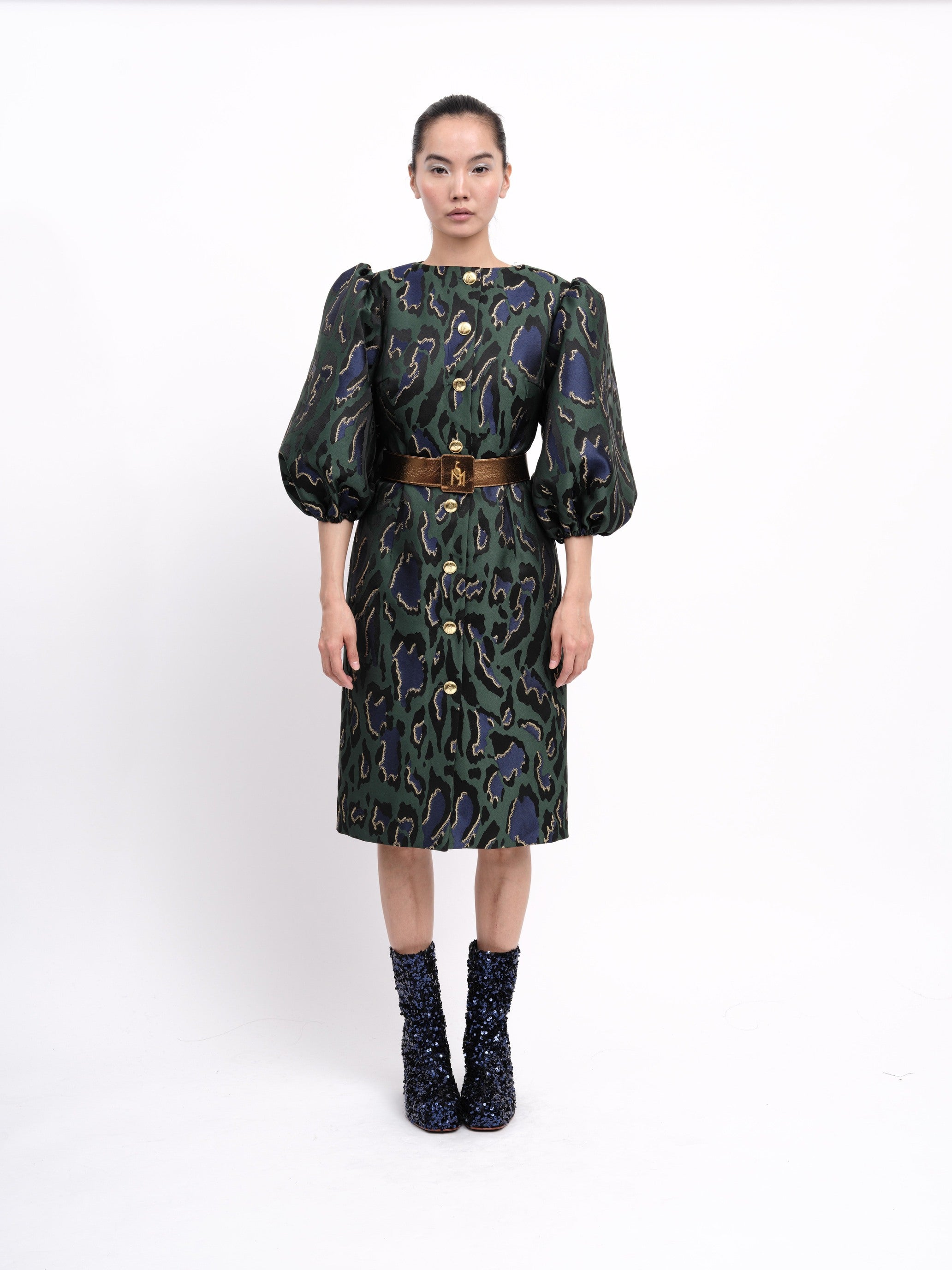 Dress Graphic Animal Print Green